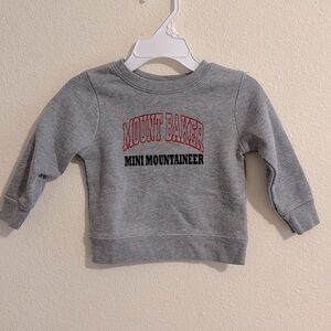 Mt. Baker Mini Mountaineer custom screen print crewneck sweater